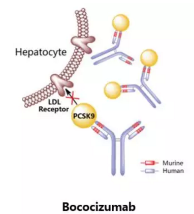南宫·NG28(China)官方网站-登录入口