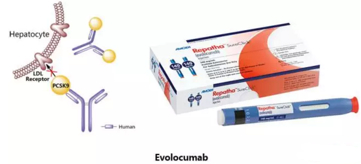 南宫·NG28(China)官方网站-登录入口