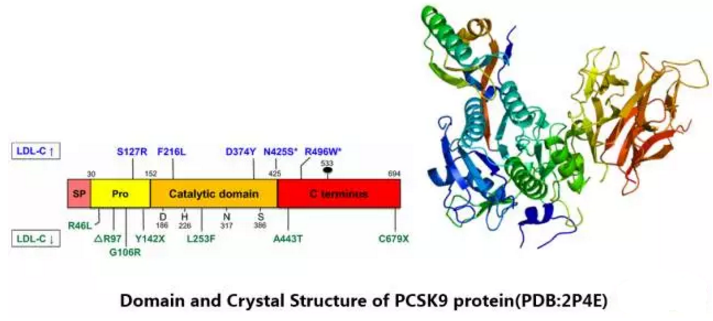 南宫·NG28(China)官方网站-登录入口