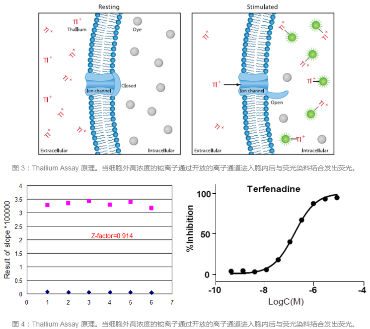 南宫·NG28(China)官方网站-登录入口