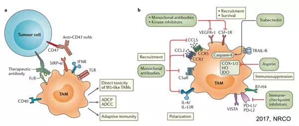 南宫·NG28(China)官方网站-登录入口