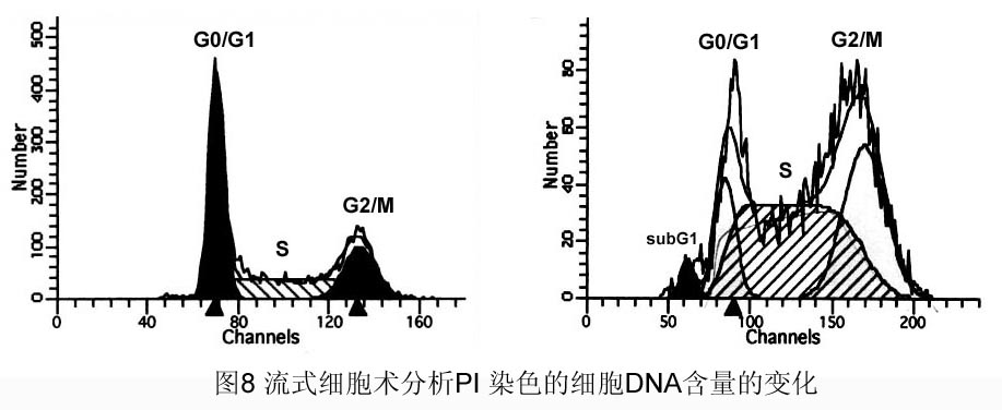 南宫·NG28(China)官方网站-登录入口