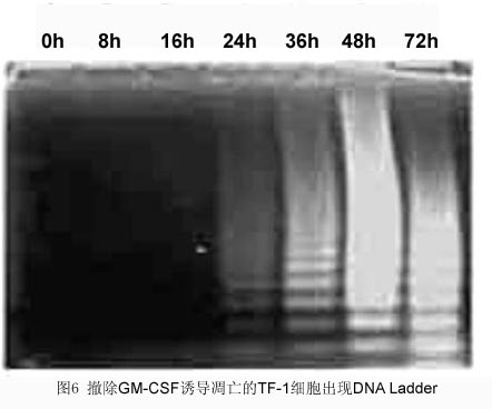 南宫·NG28(China)官方网站-登录入口