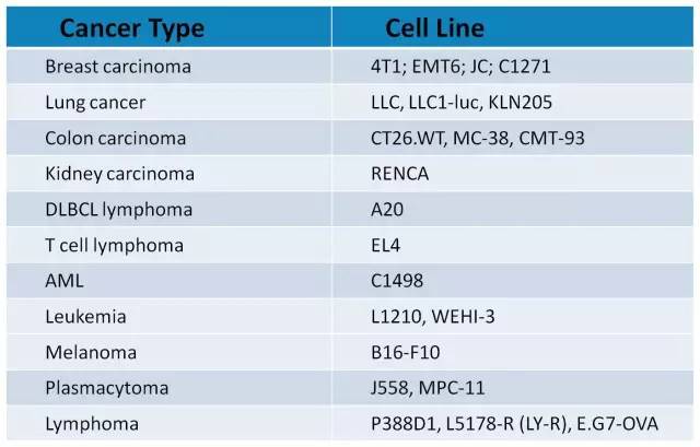 南宫·NG28(China)官方网站-登录入口