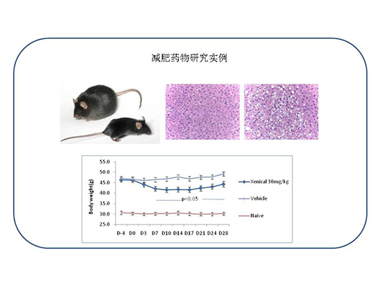 南宫·NG28(China)官方网站-登录入口