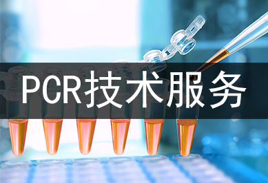 PCR手艺效劳