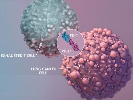 南宫·NG28(China)官方网站-登录入口