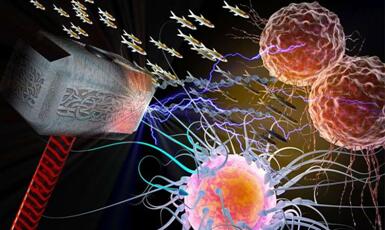 南宫·NG28(China)官方网站-登录入口