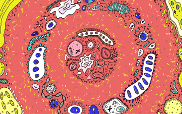 南宫·NG28(China)官方网站-登录入口