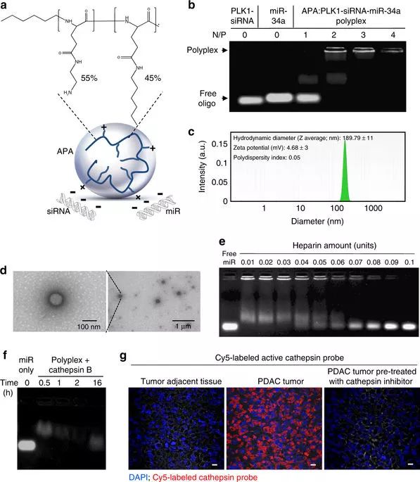 南宫·NG28(China)官方网站-登录入口