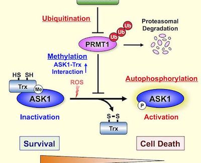 南宫·NG28(China)官方网站-登录入口