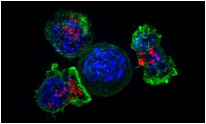 南宫·NG28(China)官方网站-登录入口