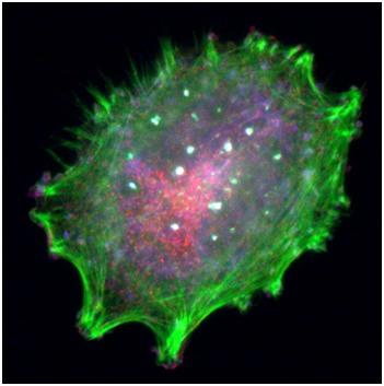 南宫·NG28(China)官方网站-登录入口