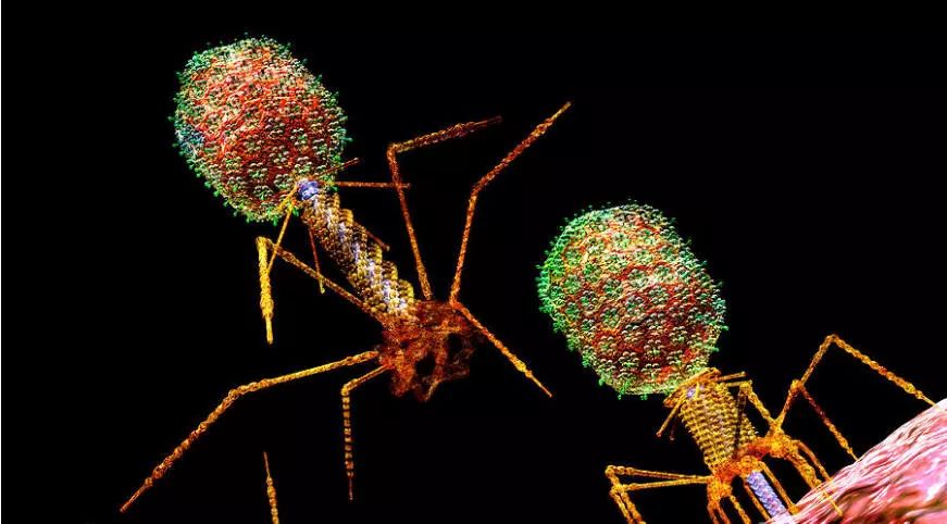 南宫·NG28(China)官方网站-登录入口