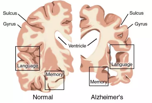 南宫·NG28(China)官方网站-登录入口