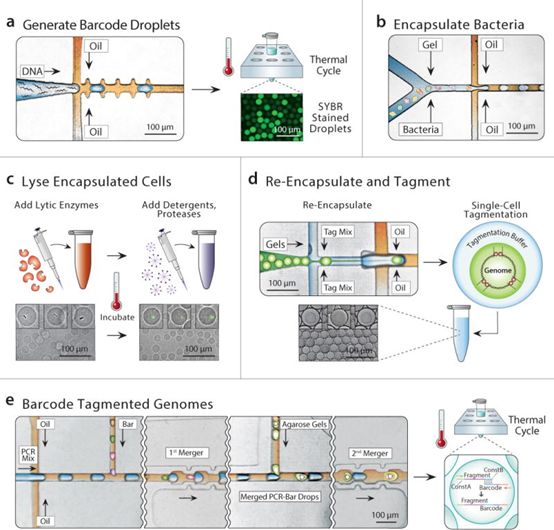 南宫·NG28(China)官方网站-登录入口