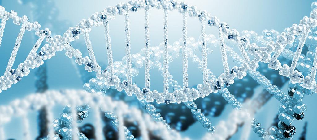 浅谈南宫28抗体药物PK剖析要领学设计的思量要点