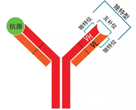 南宫·NG28(China)官方网站-登录入口