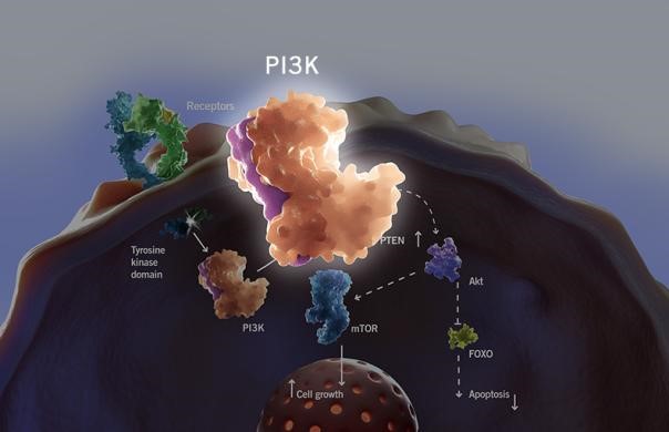 南宫·NG28(China)官方网站-登录入口