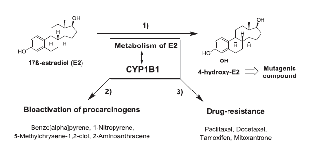 南宫·NG28(China)官方网站-登录入口