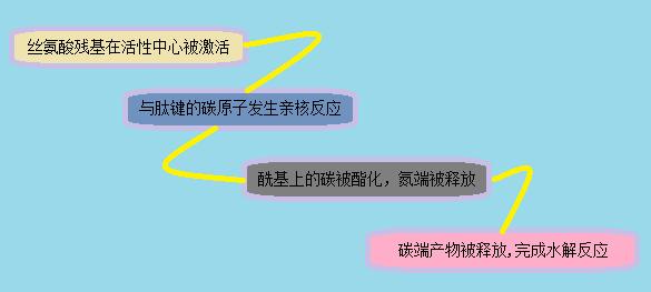 南宫·NG28(China)官方网站-登录入口