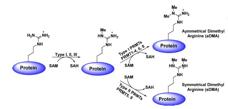 南宫·NG28(China)官方网站-登录入口
