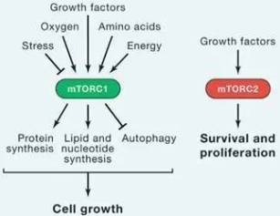 南宫·NG28(China)官方网站-登录入口
