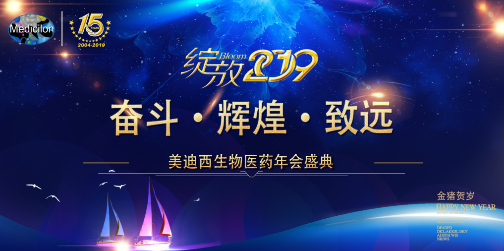 南宫28喜迎2019年会盛典