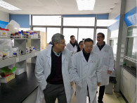 南宫28开展办公场合节前清静卫生大检查