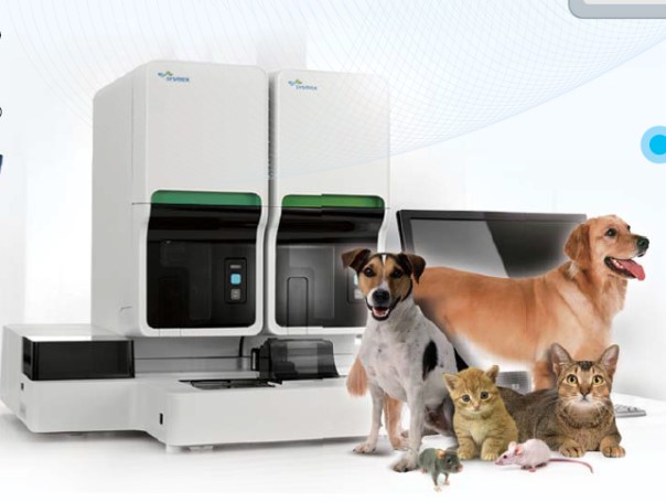 南宫·NG28(China)官方网站-登录入口