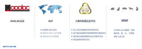 南宫28生物医药 临床前研究