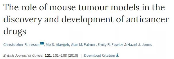 临床前小鼠模子怎样？
