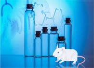 南宫28-您理想的DMPK研究同伴