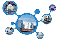 科创板首家CRO企业南宫28获准注册