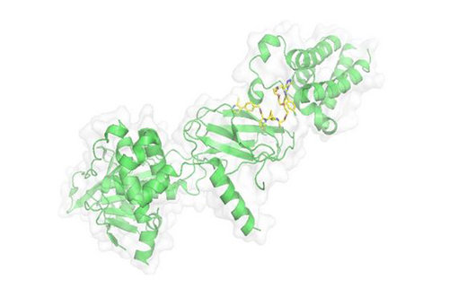PROTAC手艺，马兴泉