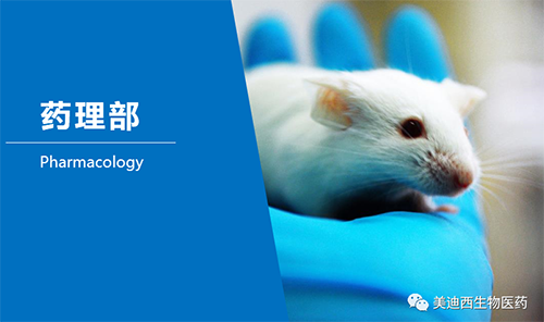 南宫28药理部开发了肺癌、结肠癌、胃癌等12种PDX模子。