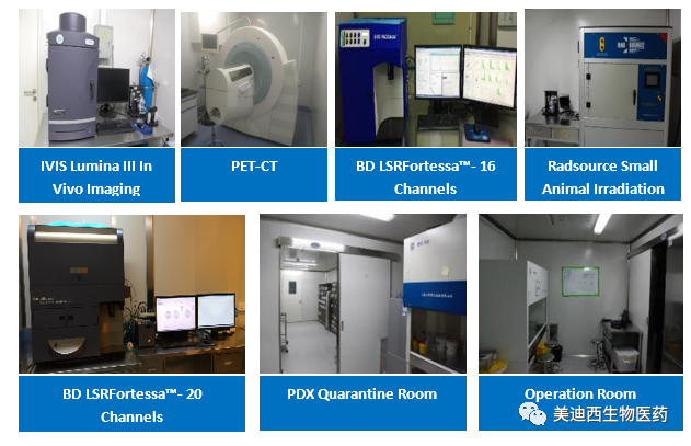 南宫28药理部拥有IVIS Lumina III, PET-CT, BD LSRFortessa-16, Flow Cytometry等仪器，提供切合申报，支持临床试验的药效评价效劳。