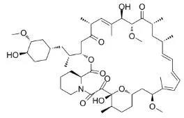 雷帕霉素新制剂用于有数病，获4500万美元融资