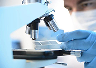 南宫28代谢产品判断(MetlD)效劳平台