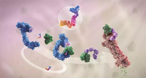 LYTAC出生，与PROTAC并肩作战针对不可成药的靶点