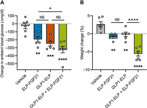 GLP-1和FGF21配合治疗增强了单药治疗的血糖降低和体重增添抑制作用 南宫28