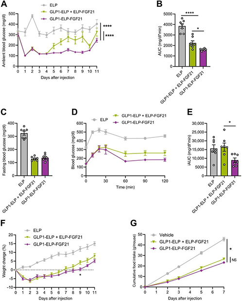 GLP1-ELP-FGF21双激动剂形式在治疗上优于GLP-1 / FGF21单激动剂混淆物 南宫28