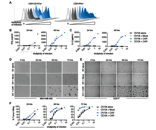 南宫·NG28(China)官方网站-登录入口