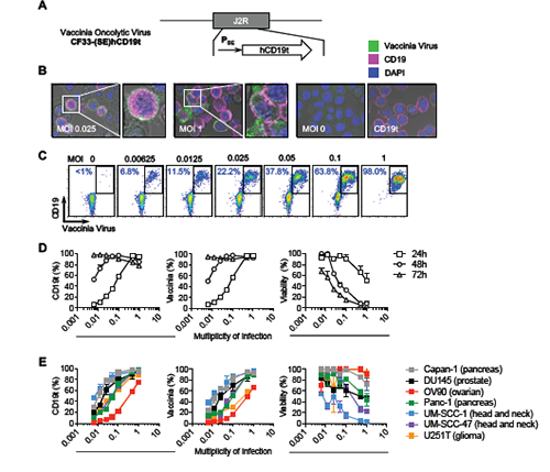 南宫·NG28(China)官方网站-登录入口
