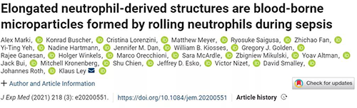一种神秘颗粒被发明了 ！它能否成为败血症早筛标记物？