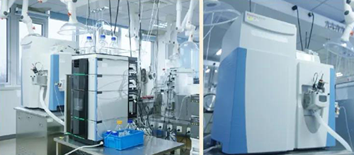 南宫28DMPK剖析效劳