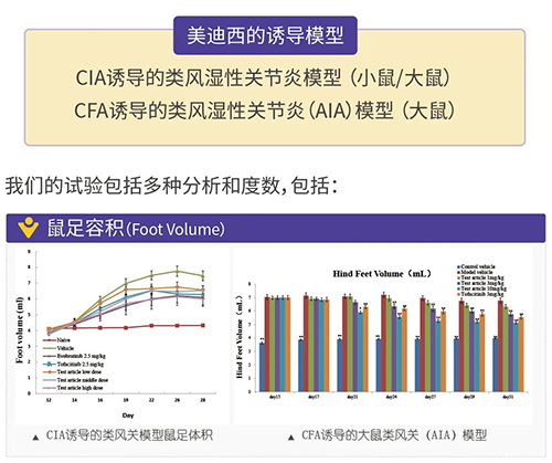 南宫28诱导的类风湿性枢纽炎模子