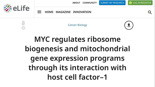 可以“融化”肿瘤的卵白质，你一定没有听说过！