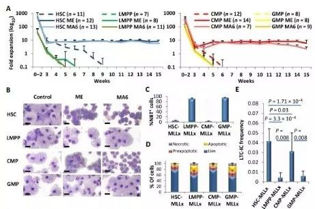 Science子刊：一种FDA批准的抗腹泻药物可有用对抗化疗的耐药性 南宫28生物医药