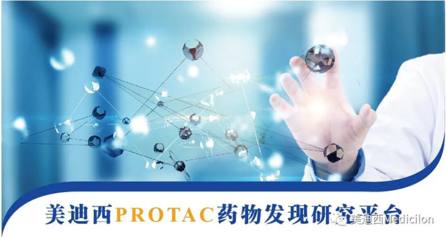 南宫28PROTAC药物发明研究平台